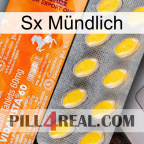 Sx Mündlich new05